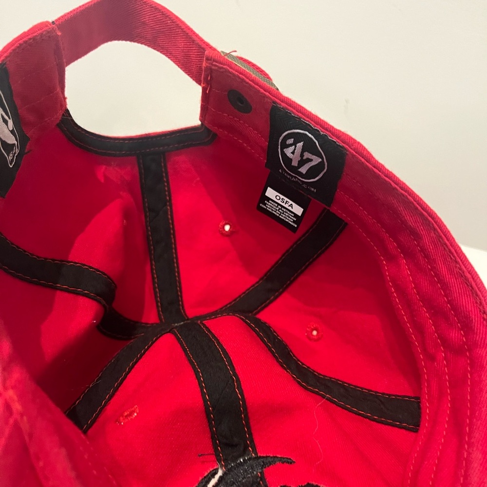 Toronto Raptors Red and Black Dad - Picture 2 of 3